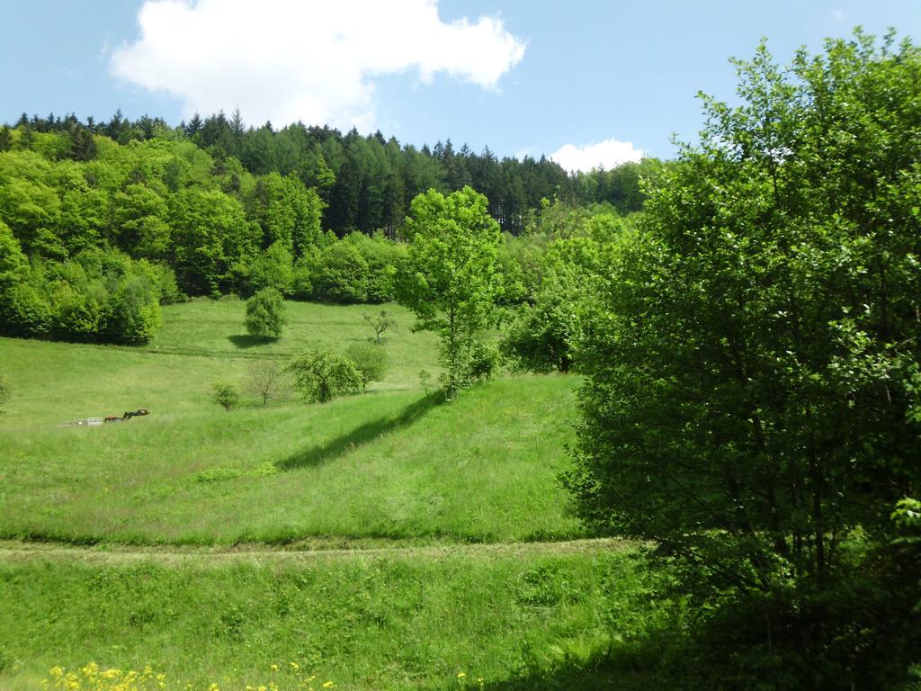 Finken, Gaestezimmer An Der Rench Oppenau Luaran gambar